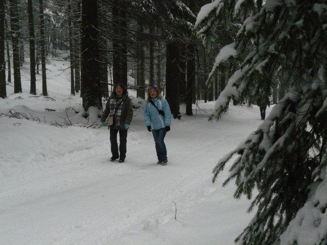 Medovina2013_3